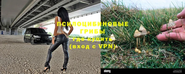 сатива Покров