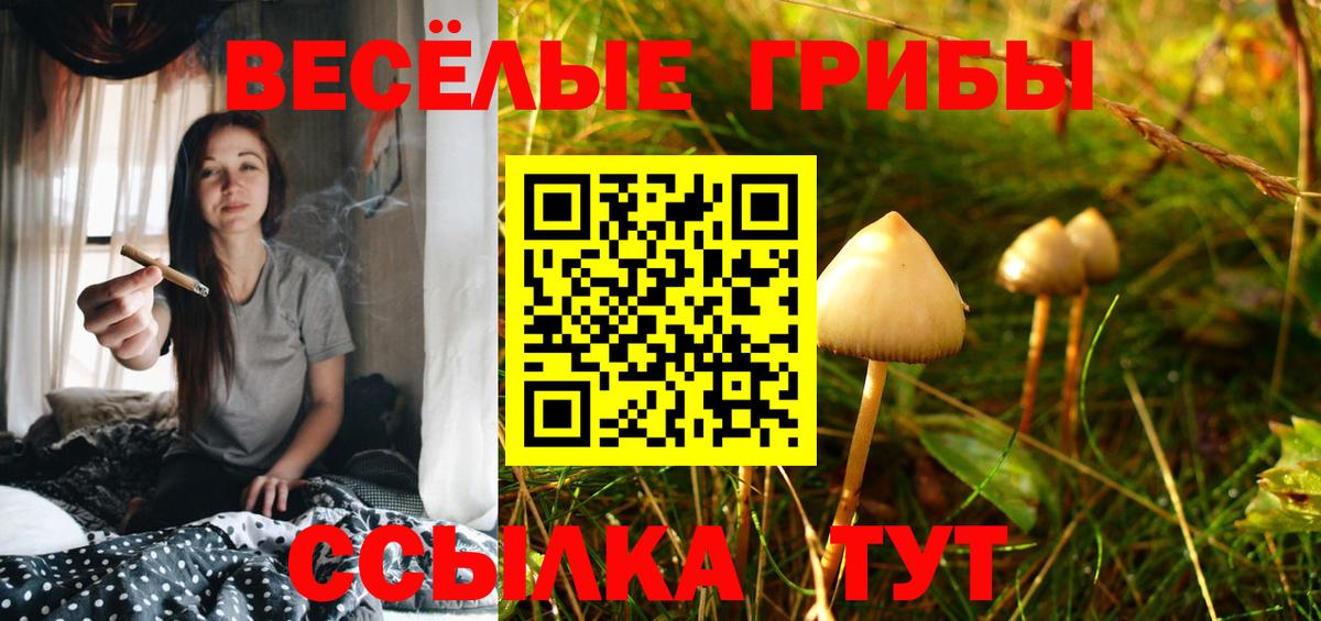 Псилоцибиновые грибы MAGIC MUSHROOMS Усть-Лабинск